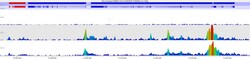 MilliporeSigma TET3, Rabbit, Unlabeled, Polyclonal, 100&mu;g; Unlabeled:Antibodies,